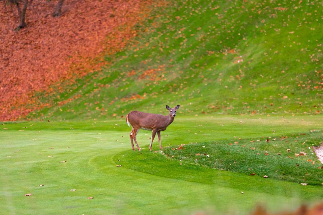 Crown Resorts At Silverwoods デュボア エクステリア 写真
